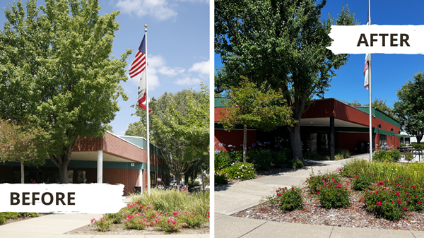 Sacramento Public Library - Sacramento Public Library